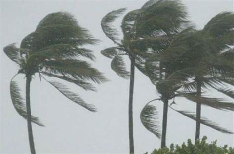 Viento .